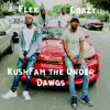 KushFam - Flex Crazy - Single